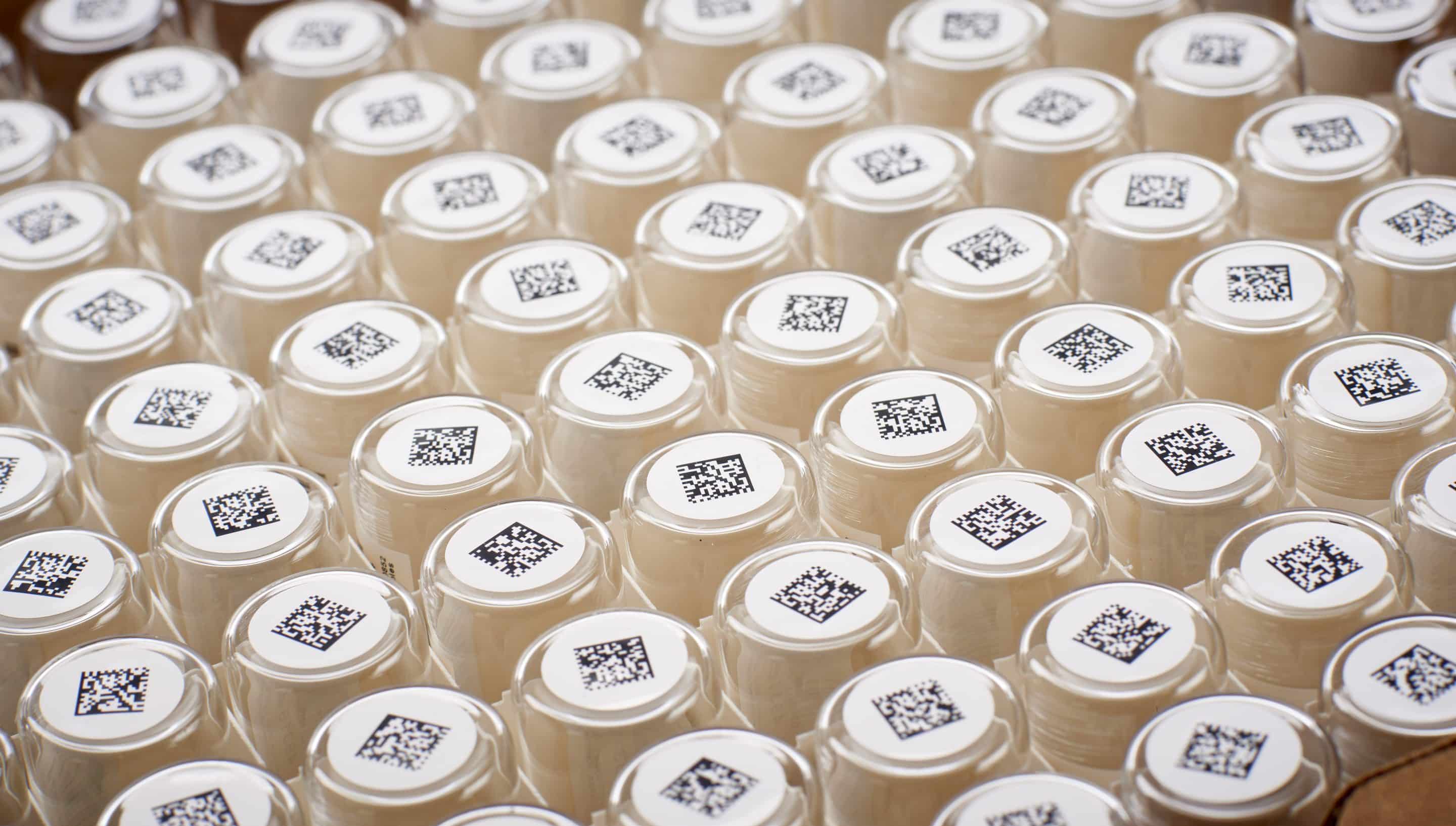 Organized Glass Vials