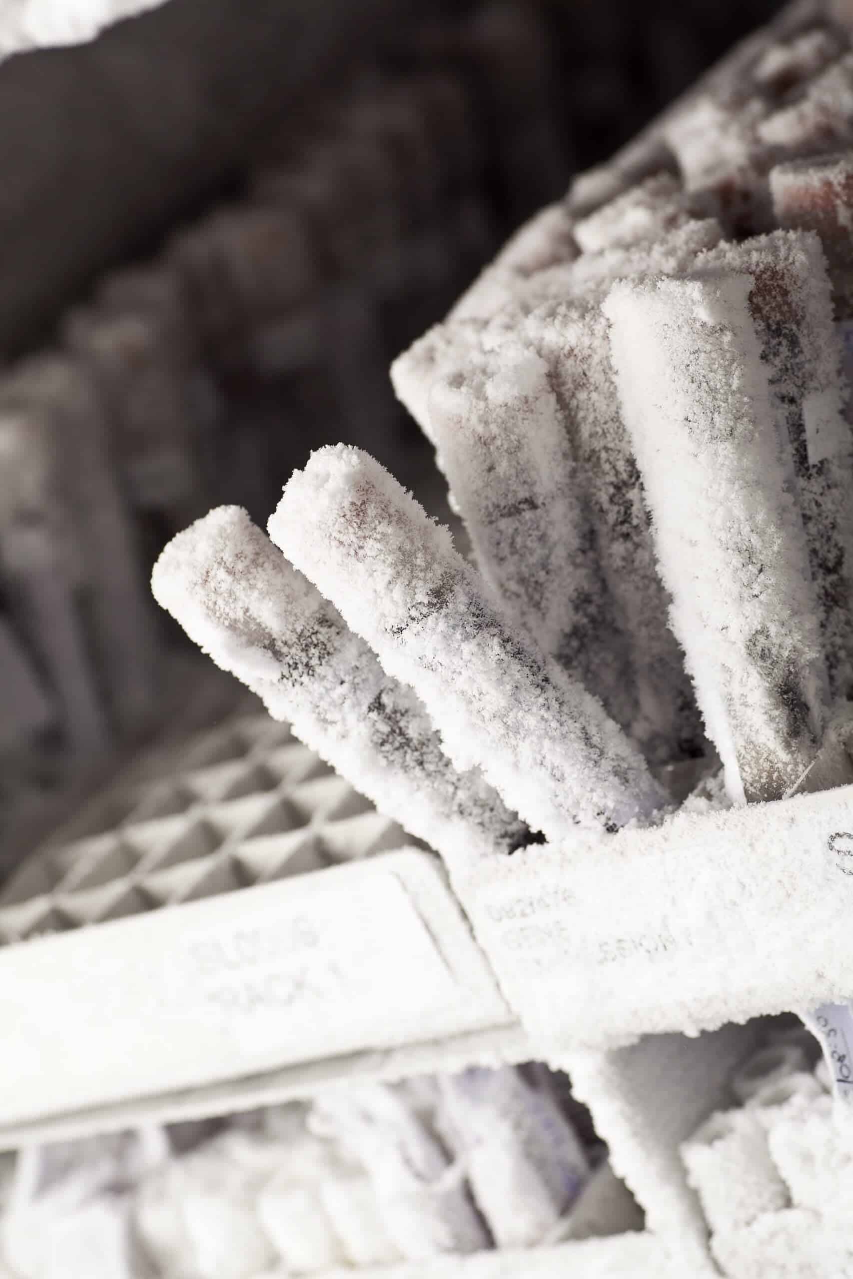 Frozen Vials in Cryogenic Storage